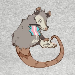 Trans Rights Opossum (textless) T-Shirt